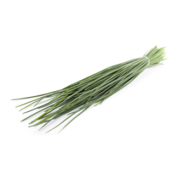 Herb Chervil