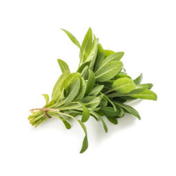 Herb Sage
