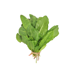 Herb Sorrel