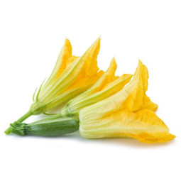 Flower Zucchini