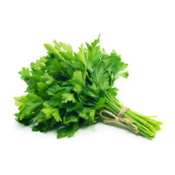 Herb Parsley Flat