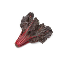 Salad Red Chard