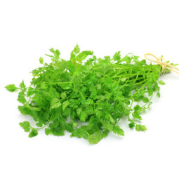 Herb Chive