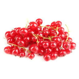 Red Currant