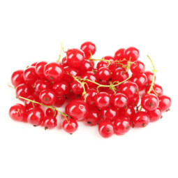Red Currant