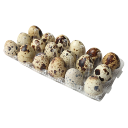 Fresh Quail Eggs
