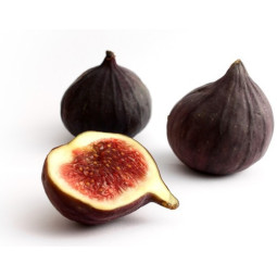 Fig Black