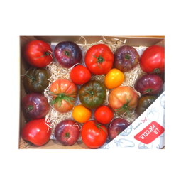 Tomato Heirloom Collection