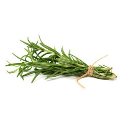 Heb Rosemary