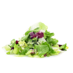 Salad Young Mesclun Leaves