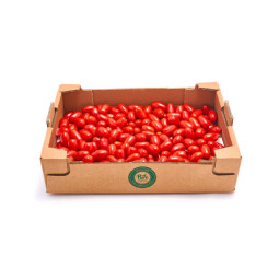 Tomatoes Candy Red