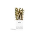 Dried Greek Mountain Herbs