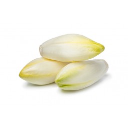 Endives +/-500g