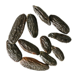 Feves Tonka Whole Brazil