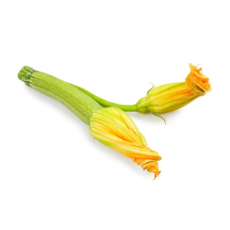 Zucchini Flowers /PC