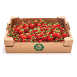 Pure Harvest Datterino Tomatoes