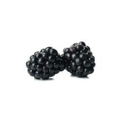 Pure Harvest Blackberries