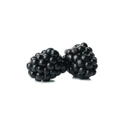 Pure Harvest Blackberries