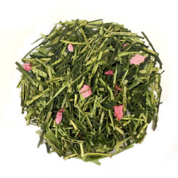 Luxury Retail Sakura Green Tea