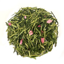Luxury Retail Sakura Green Tea
