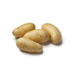 Potato Ameandine +/- 500g