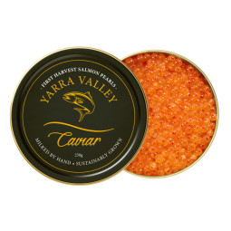 First Harvest Atlantic Salmon Eggs