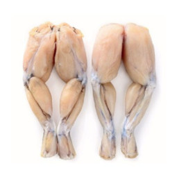 Frog Legs Frozen 8/12 Pcs