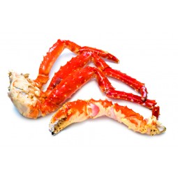 King Crab Leg Cooked +/- 900 GR