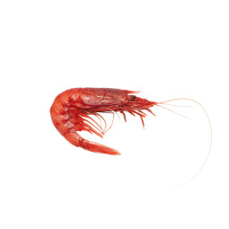 Gambero Rosso Prawns (M Size)