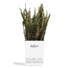 Dried Greek Rosemary