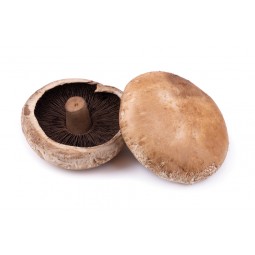 Mushroom Portobello +/-500g