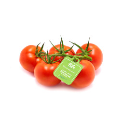 Tomatoes Cherry On Vine