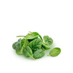 Baby Spinach Salad | 2 days lead time