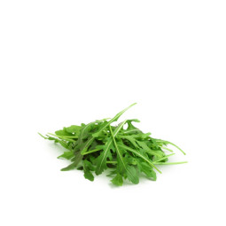 Salad - Rucola