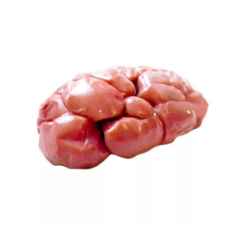 Veal Holstein Kidney Fat Off