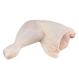 Chicken Yellow - Leg Oyster Cut 0.2