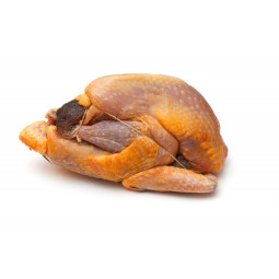 Guinea Fowl - Entire 1