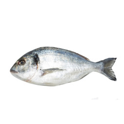 Seabream Whole Farmed
