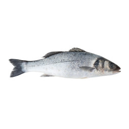 Seabass Whole Farmed
