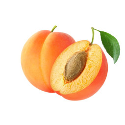 Apricot