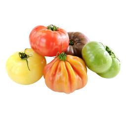 Tomato Heirloom Provence