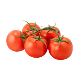Tomato On Vine