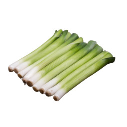 Baby Leek