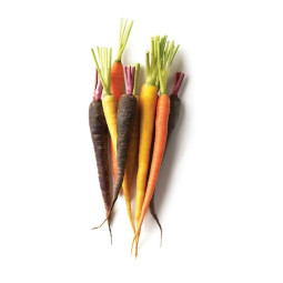 Baby Carrot Mixed