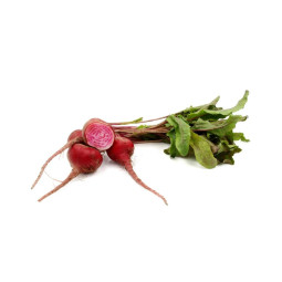 Baby Chioggia