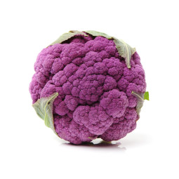 Baby Cauliflower Purple
