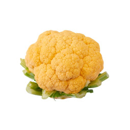Baby Cauliflower Yellow