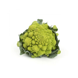 Baby Romanesco
