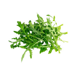 Salad Arugula Roquette