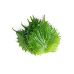 Cress Shiso Leaves Green